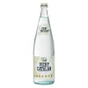 AGUA VICHY CATALÁN CON GAS BOTELLA 1 LITRO