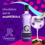 GINEBRA PUERTO DE INDIAS BLACKBERRY 70 CL.
