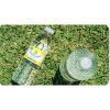 AGUA SANA 0,5L. CAJA 24 UDS.