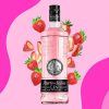 GINEBRA PUERTO DE INDIAS 70 CL. STRAWBERRY