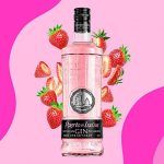 GINEBRA PUERTO DE INDIAS 70 CL. STRAWBERRY
