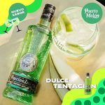 GINEBRA PUERTO DE INDIAS SWEET MELON 70CL