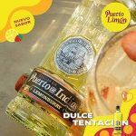GINEBRA PUERTO DE INDIAS LEMONBERRY 70CL