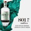 GINEBRA PREMIUN ST GIN 801 BOT 70CL