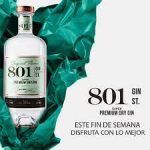 GINEBRA PREMIUN ST GIN 801 BOT 70CL